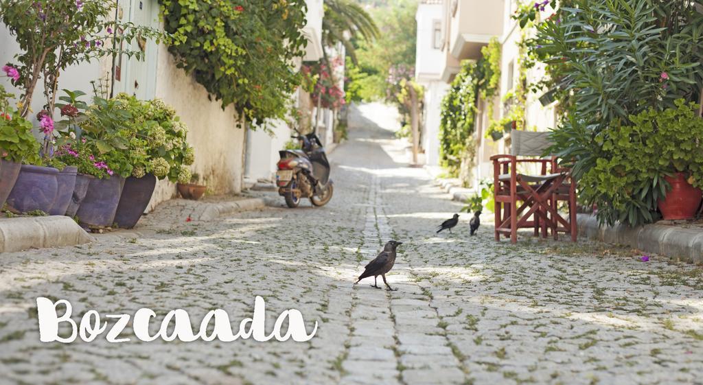 Kalinda Hotel - Adult Only Bozcaada Dış mekan fotoğraf